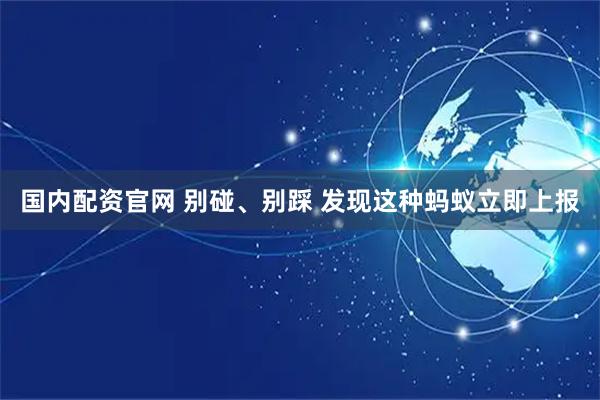 国内配资官网 别碰、别踩 发现这种蚂蚁立即上报
